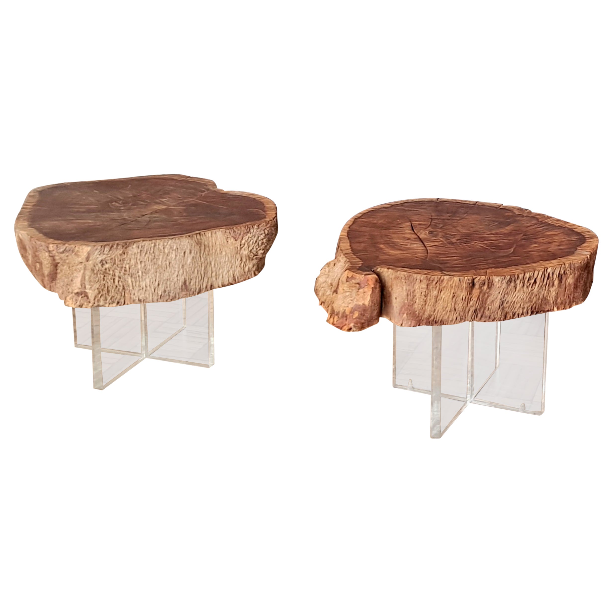 Two Eucalyptus Side Table