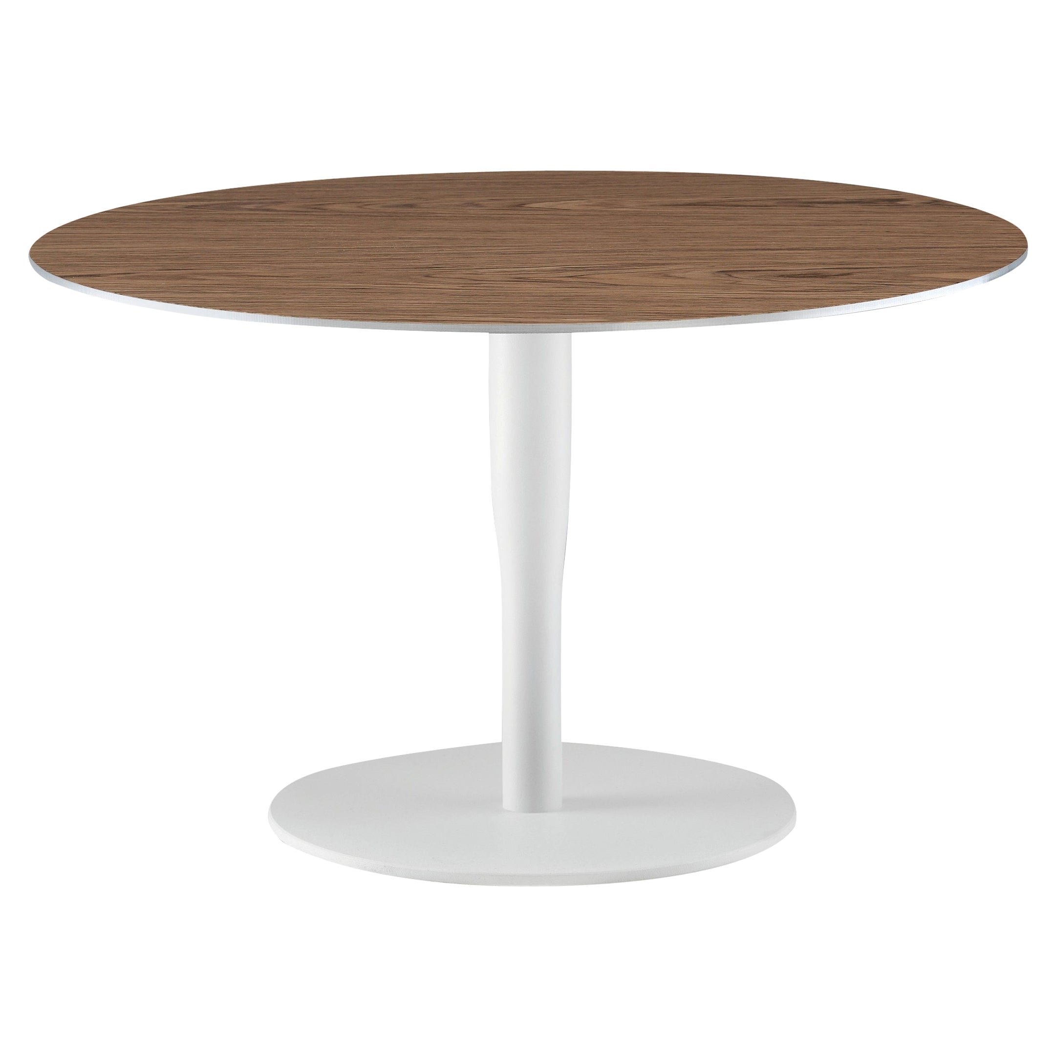 Alias Round Large Atlas Low Table I in Canaletto Walnut Oak Top & White Frame