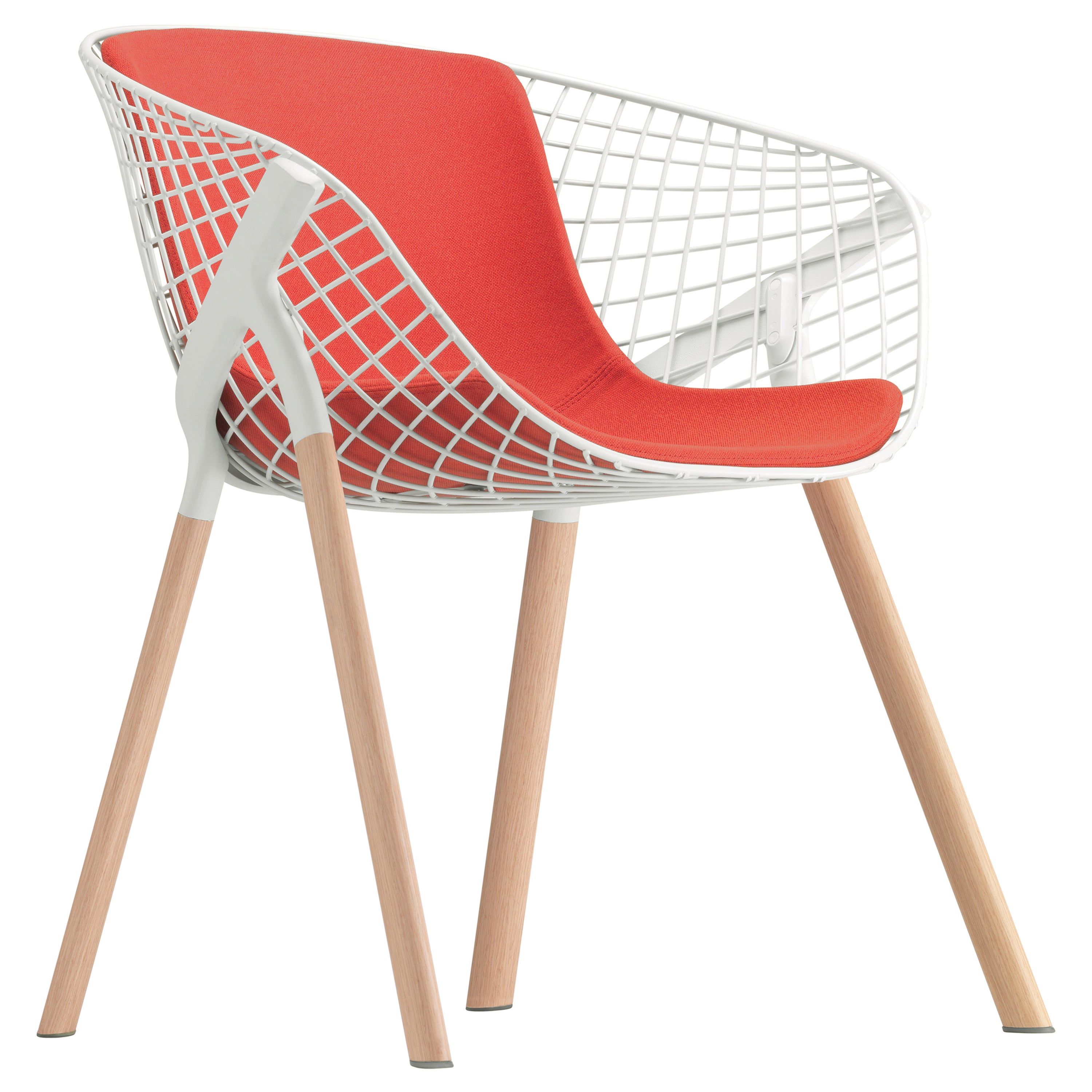 Alias 041 Kobi Chair with Medium Pad in White Lacquered and Natural Oak Frame