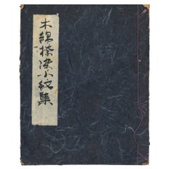 Antique Late 19th Early 20th Century Japanese Textile Swatch Book, Komon  (Book)