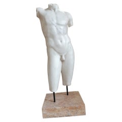 Magnificent "Dorso Masculino" Sculpture in Carrara Marble the late 19th Century