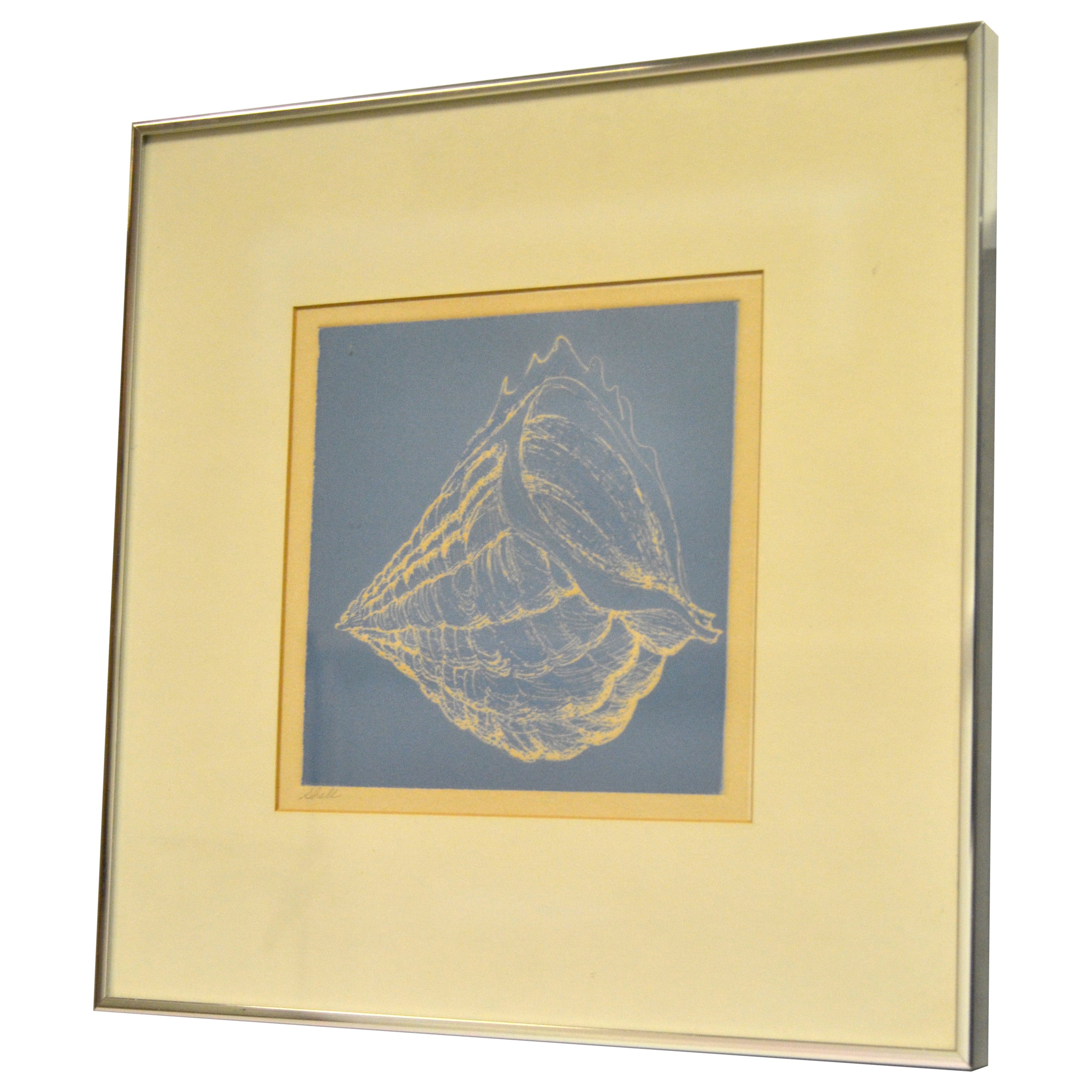 Framed Realism Blue & Beige Seashell Pencil Painting, Fine Art Brushed Chrome  For Sale