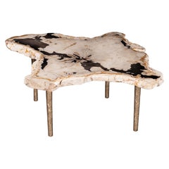 Side or Coffee Table, Petrified Wood with Solid Bronze Base