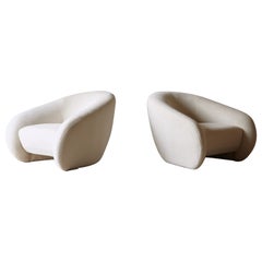 Superb Curved Lounge Chairs, Newly Upholstered in Alpaca, Italy