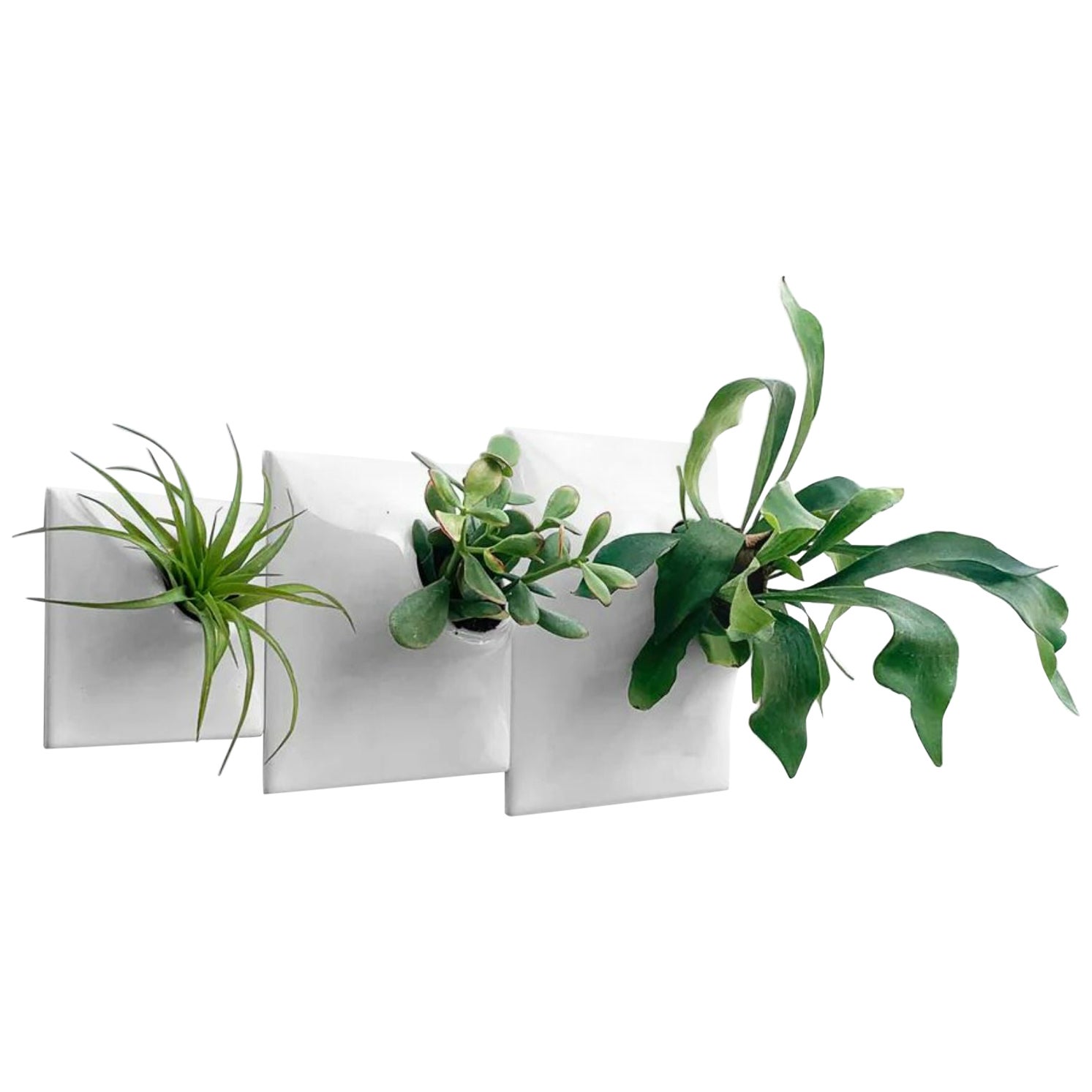 Modern Gray Wall Planter Set, Mid Century Modern Decor, Plant Wall Art, Node TPL For Sale