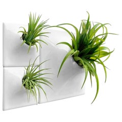 Modern White Wall Planter Set, Mid Century Modern Decor, Moss Wall Art, Node BR1