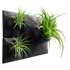 Modern Black Wall Planter Set, Mid Century Modern Decor, Moss Wall Art, Node BR1