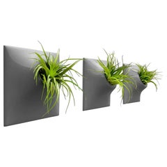 Modern Gray Wall Planter Set, Plant Wall Art, Wall Sculpture, Node 9" Medium, D