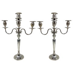 Pareja de antiguos candelabros ingleses eduardianos de 5 luces chapados en plata, circa 1900-1910