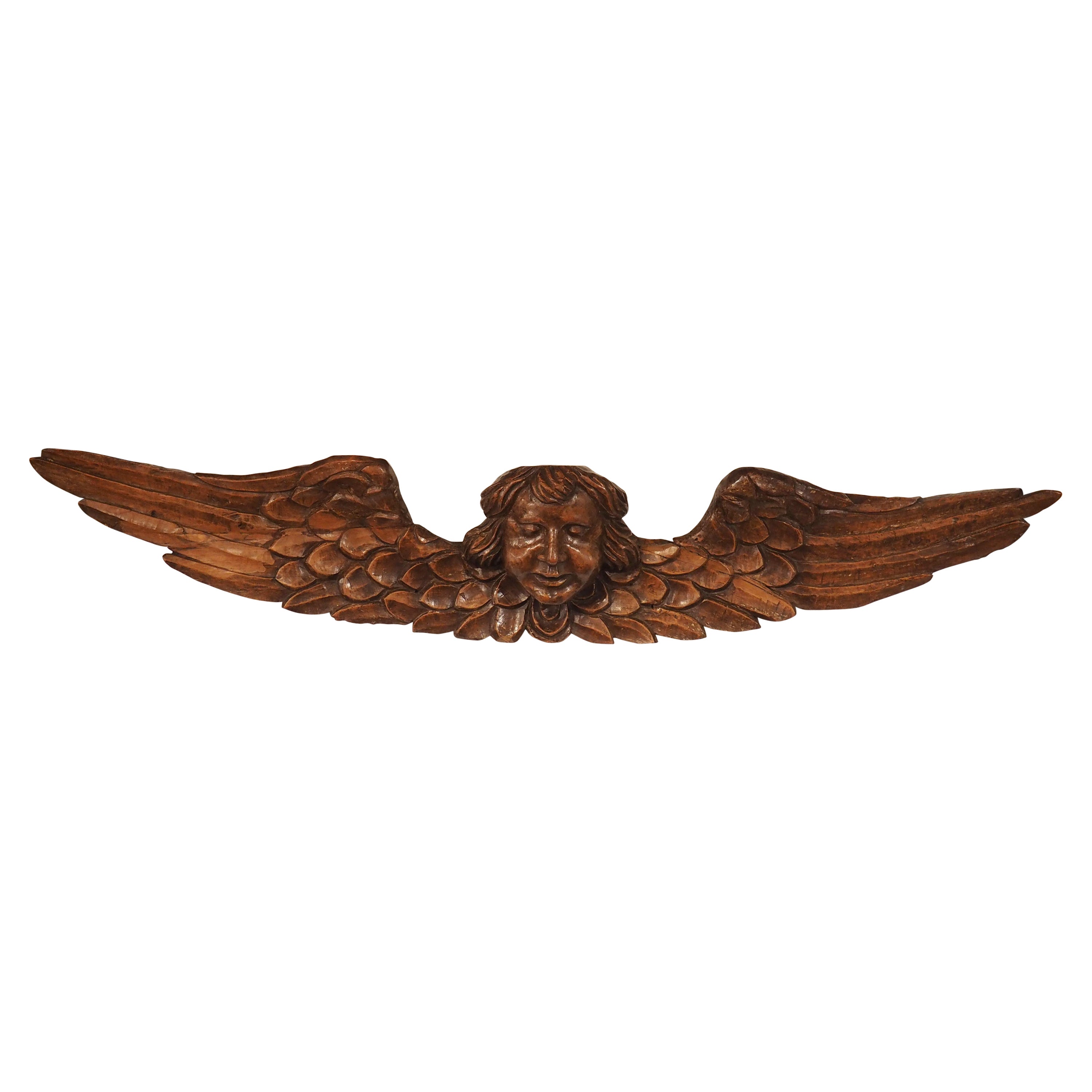 Breiter geflügelter Engel aus geschnitztem Nussbaumholz aus Frankreich, 17. Jahrhundert im Angebot
