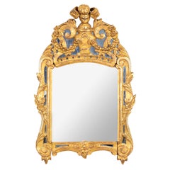 Antique Gilt Wood Mirror with Plumed Feathers on Top