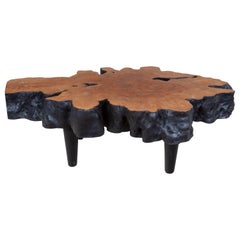 Organic Form Lychee Coffee Table with Ebonized Black Sides and Red Top