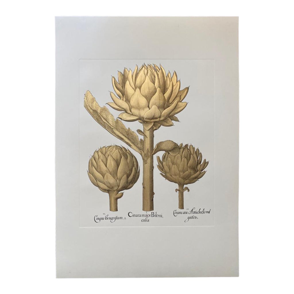 Contemporary Italian "Artichoke" Print Press Engraving on Pure Gold Leaf, 2 of 2 For Sale