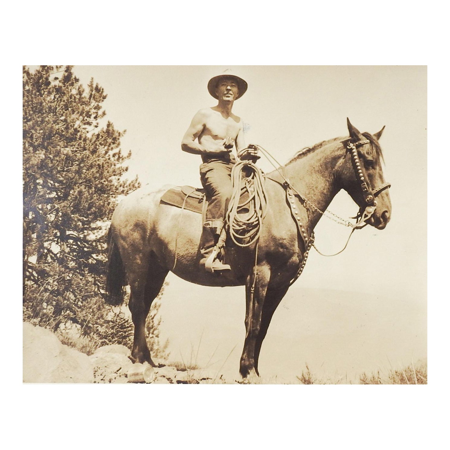 Photographie de cheval et de cavalier datant des années 1940 en Californie
