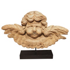 18th Century French Oak Winged Cherub Carving on Stand