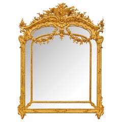 French 19th Century Louis XVI St. Double Framed Giltwood Mirror