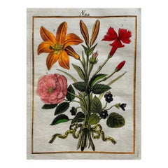 Rose, Tulip, Lily, Joh. Sollerer, Hand Colored Engraving