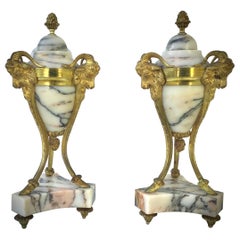 Good Pair of Antique Marble and Gilded Bronze Cassolettes