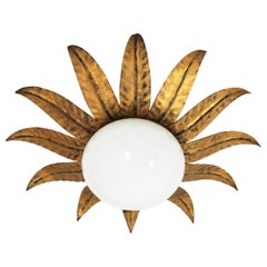 Sunburst Flower Light Fixture in Gilt Iron with Milk Glass Globe