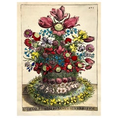 Antique G. B. Ferrari 'b1584', Floral Bouquet, Quarto Engraving Hand Colour