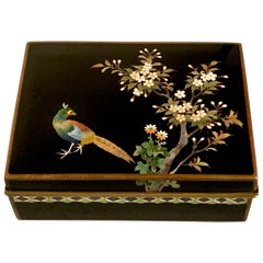 Japanese Cloisonne Box by Inaba, Meiji Period, circa 1900, Japan