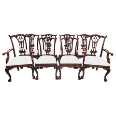Antique Chippendale Dining Chairs Mahogany, Set of 8