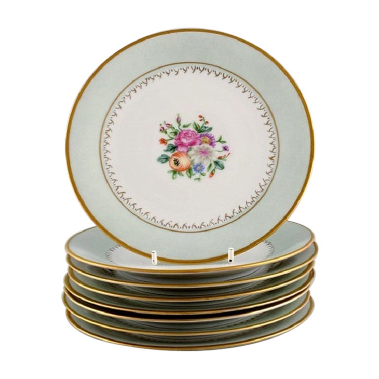 Tirschenreuth, Germany, Eight Cake Plates in Hand-Painted Porcelain For Sale