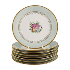 Tirschenreuth, Germany, Eight Cake Plates in Hand-Painted Porcelain