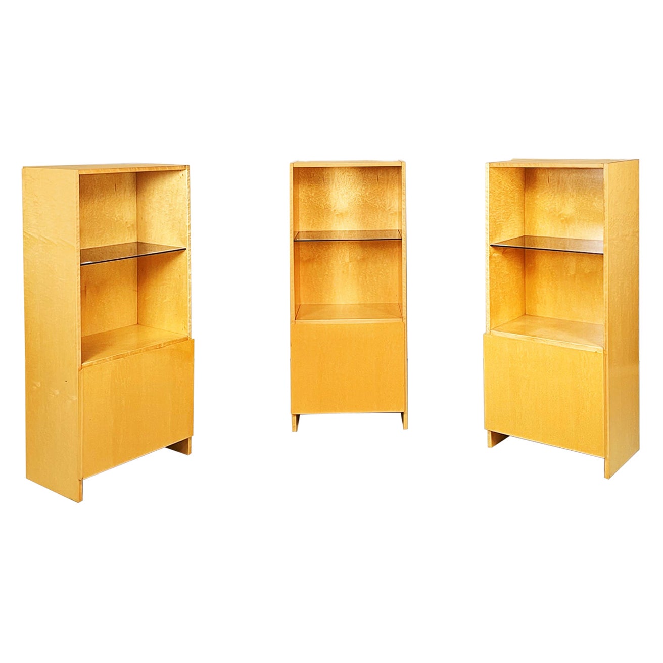 Italian Modern Bookcase by Saporiti in Light Briar with Smoked Glass, 1970s For Sale