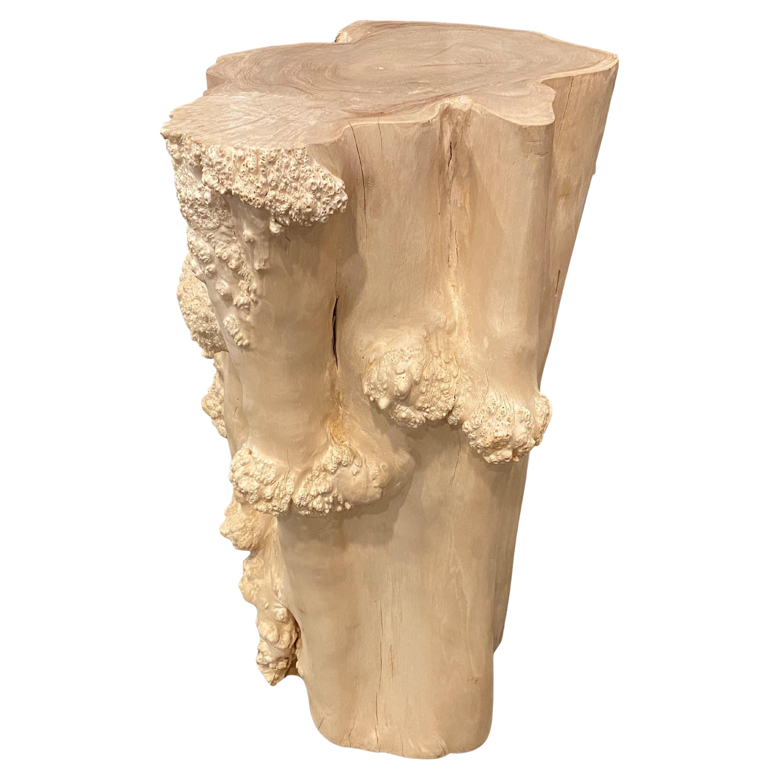 Andrianna Shamaris Rare Bleached Teak Root Pedestal For Sale