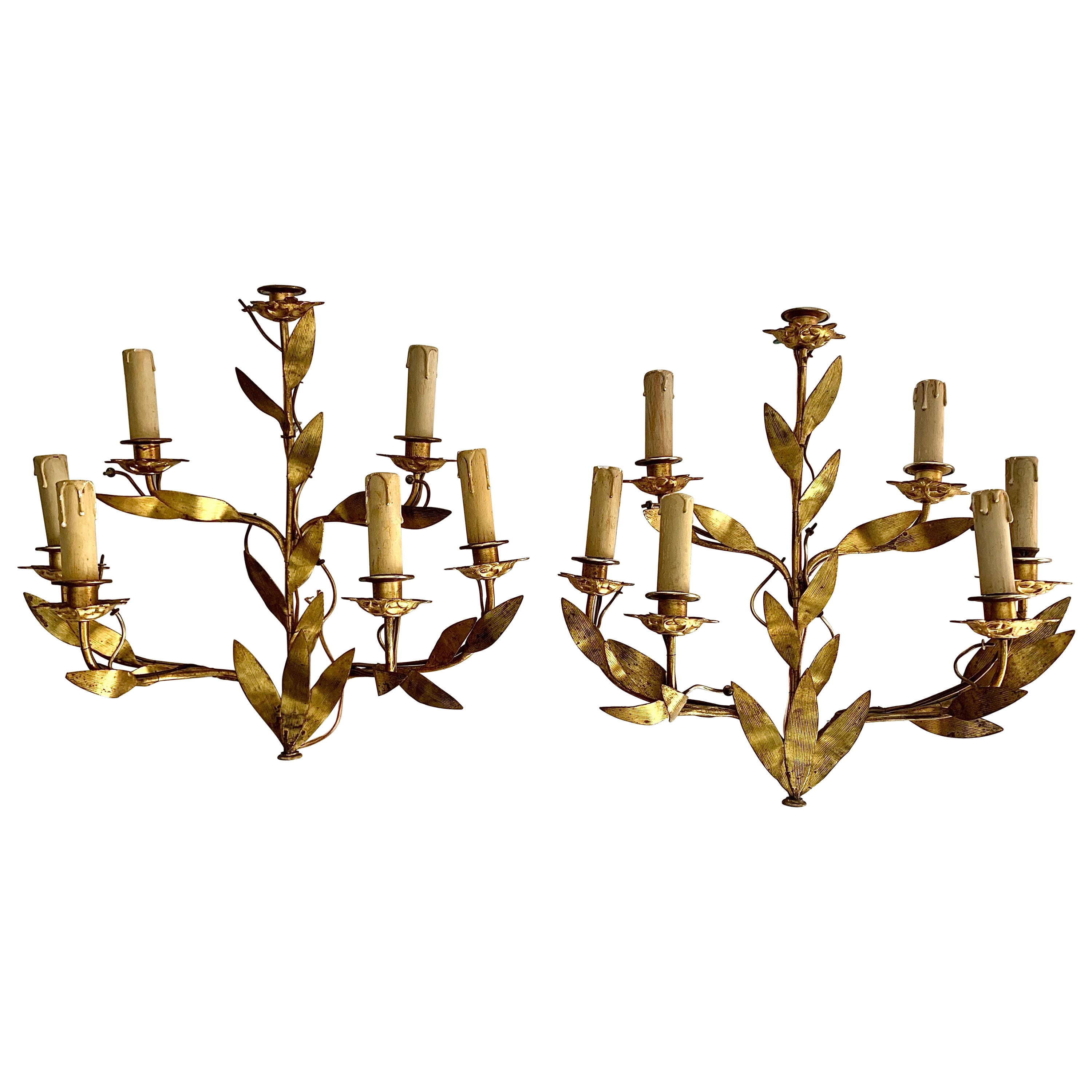 Pair of 1950s Spanish Wall Sconces in Gilt Metal and Six Light Arms For Sale