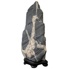Pierre d'une vue sur la roche abstraite d'un érudit sur socle en bois
