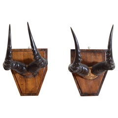 Antique Pair African Topi Horns on Shaped Art Deco Backplates