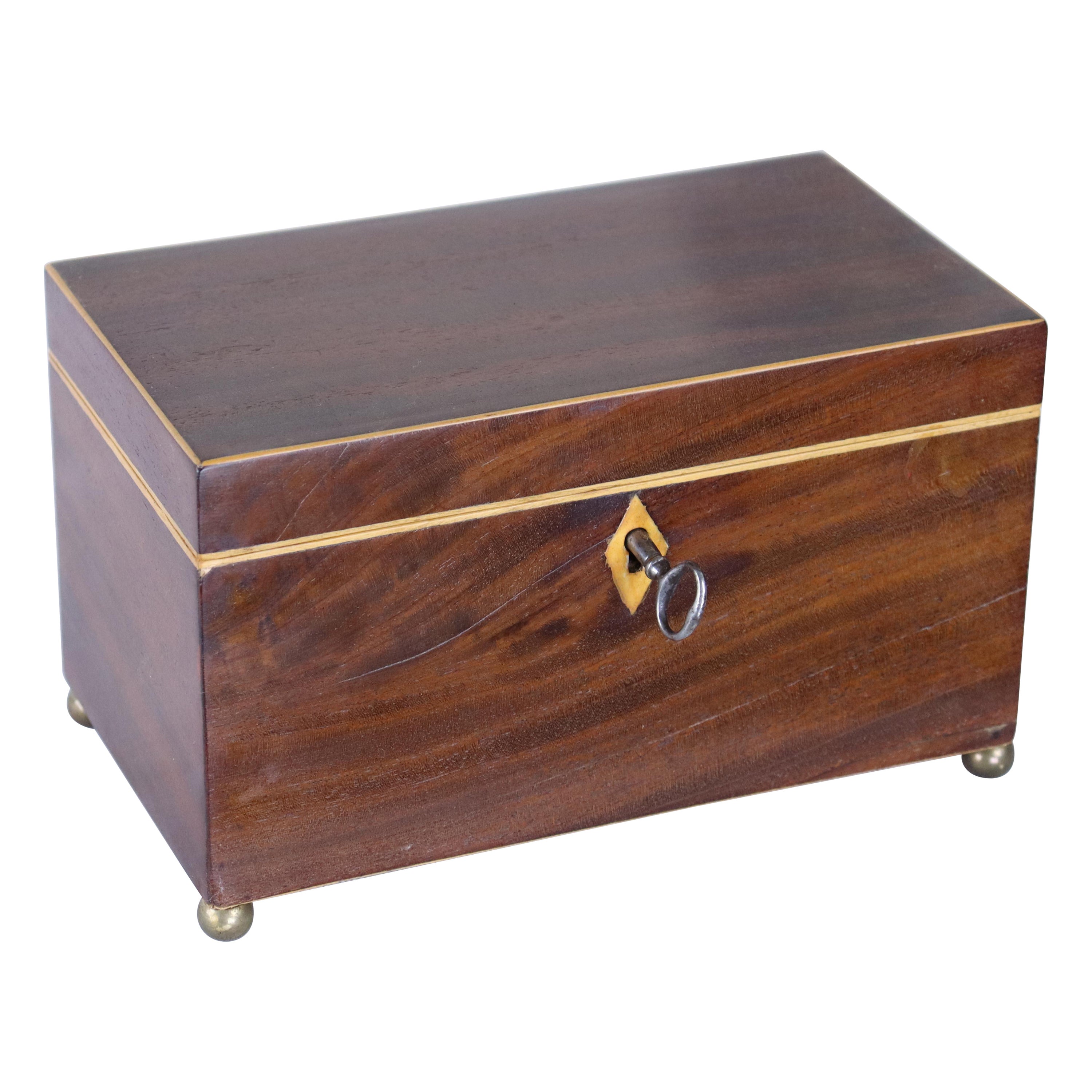 Georgian Satinwood Strung Tea Caddy