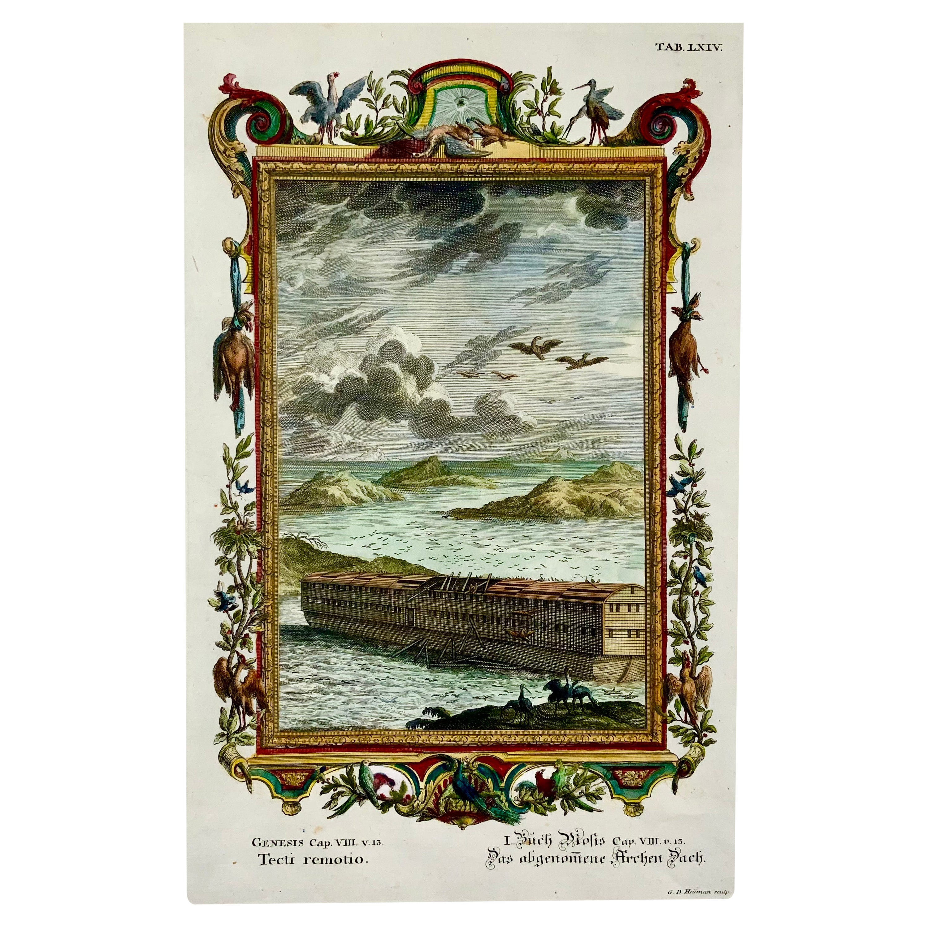 Joh. Jak. Scheuchzer, Incisione biblica, Arca di Noè, Folio, colorata a mano