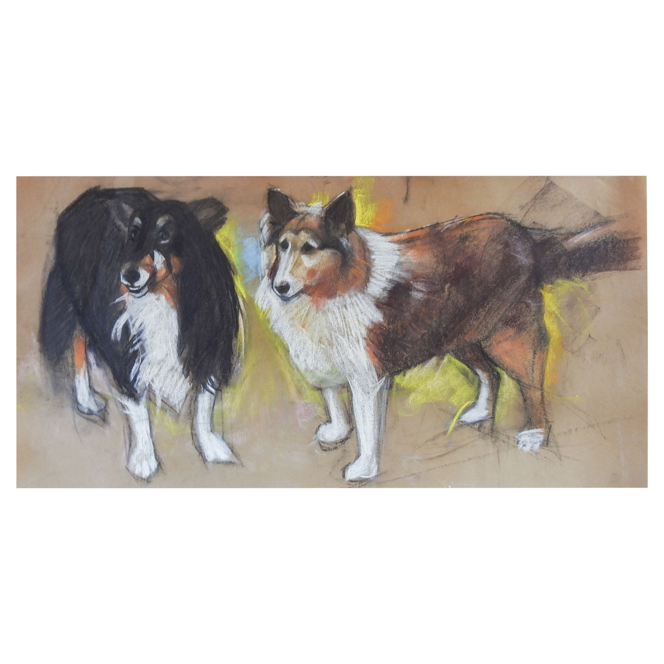 Vintage Pastel Painting Sheltie or Collie Dogs