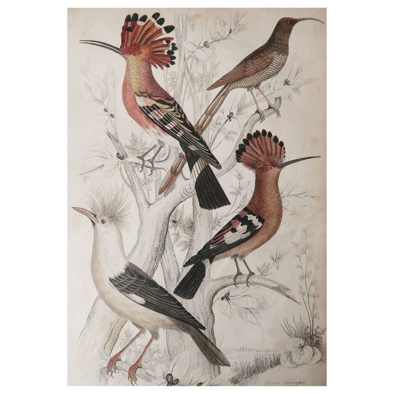 Estampe Originale 1901 - Marcus Stone "Attachement" - Gravure Romantique Victorienne