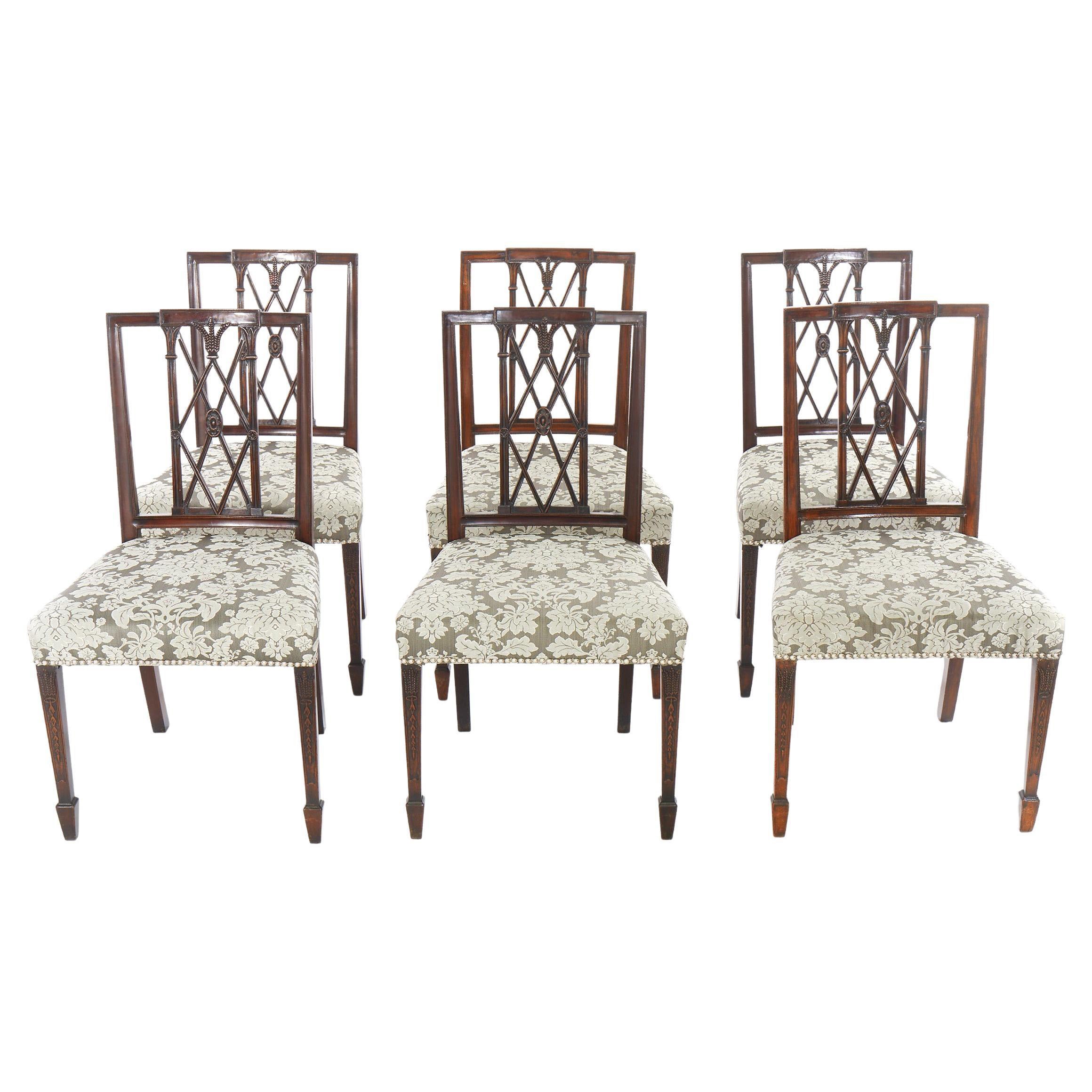Hepplewhite Hand Carved Mahogany Dining Chairs