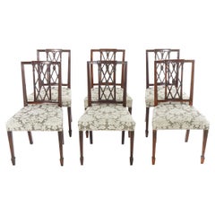 Antique Hepplewhite Hand Carved Mahogany Dining Chairs