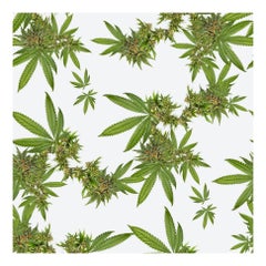 Indica Floral Wallpaper