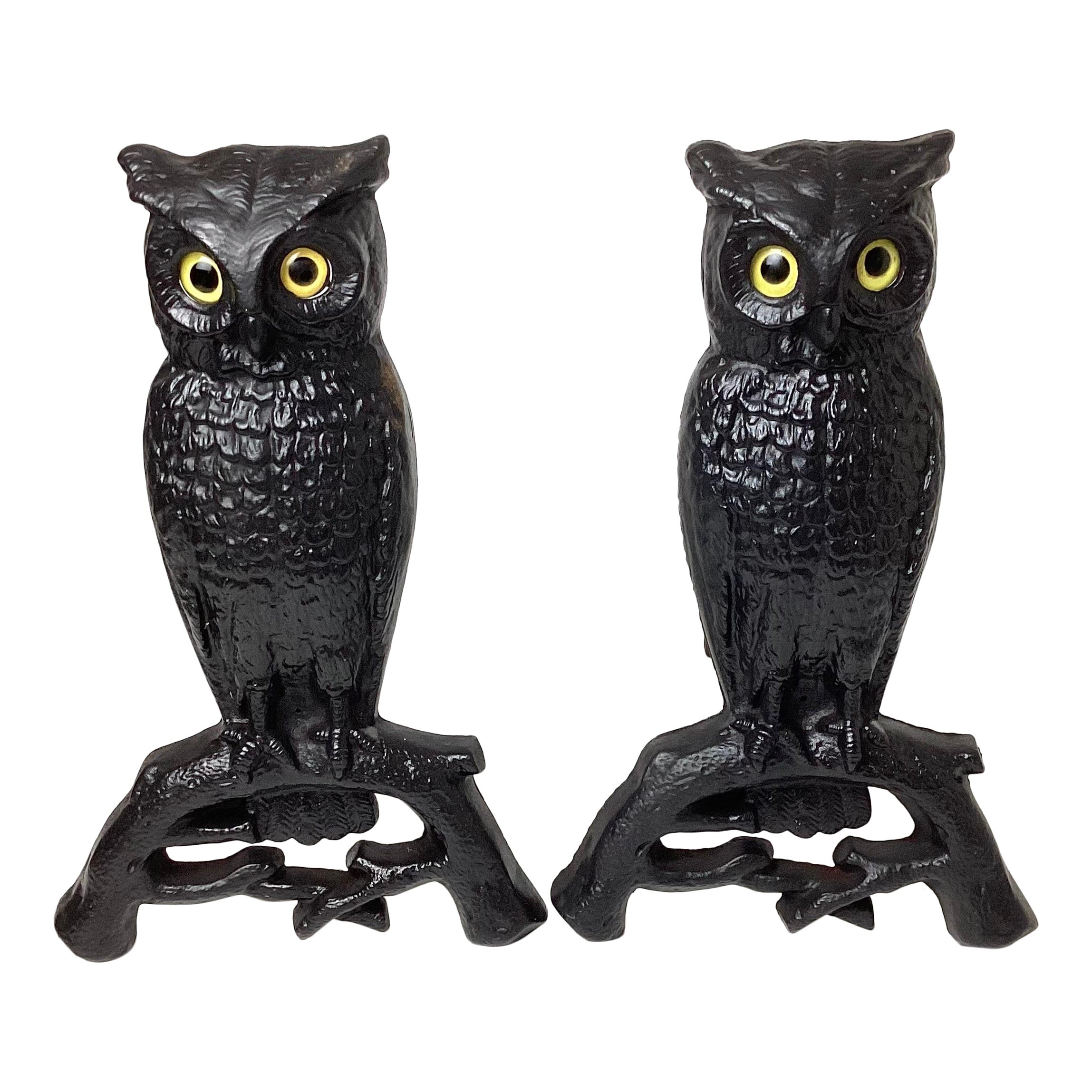 Cast Iron Owl Andirons with Glass Eyes