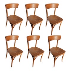 6 August Thonet-Stühle, Tschechische Republik, 50er Jahre, signiert Thonet