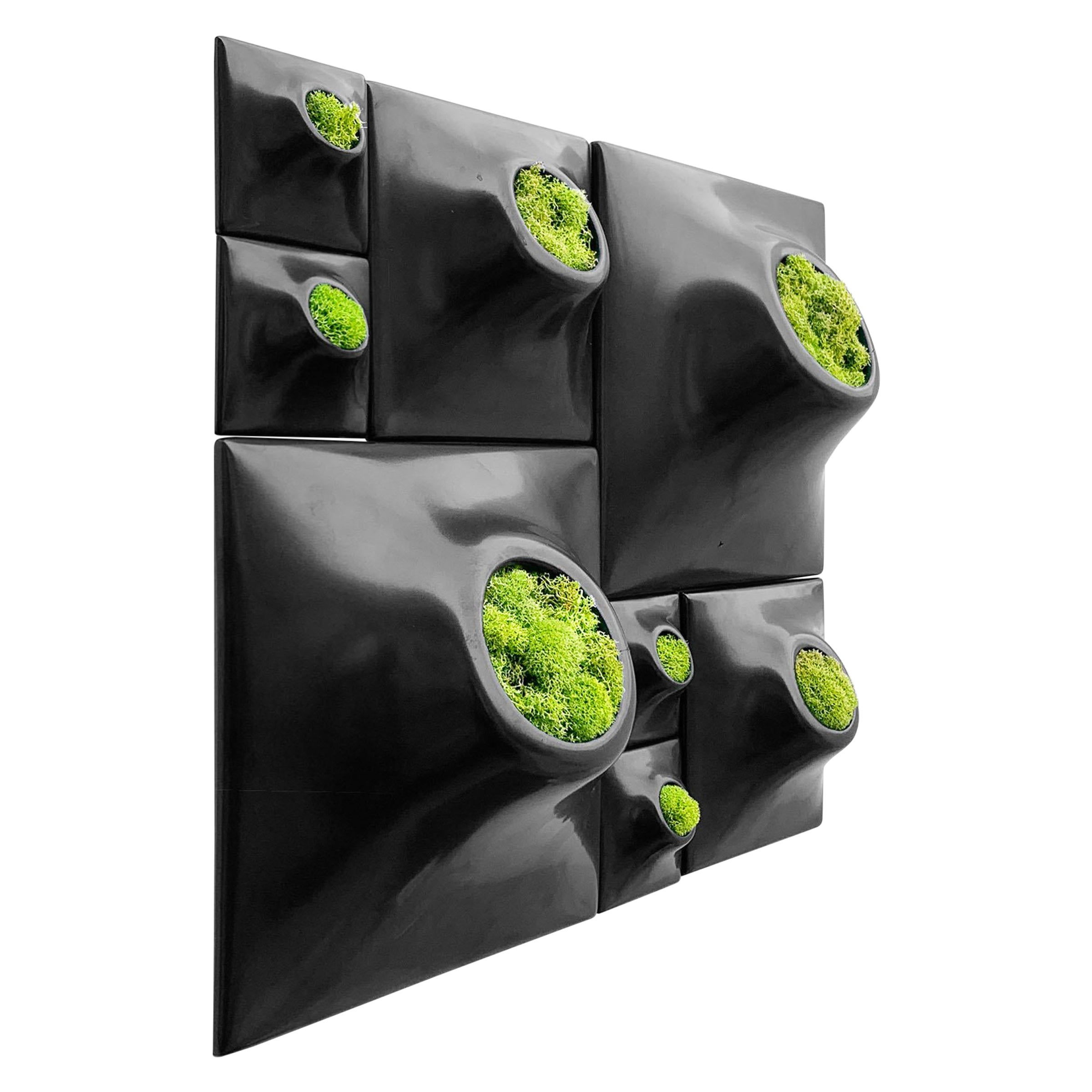 Modern Wall Planter Plant Wall Art Living Wall Decor Node 3" Set