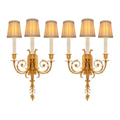 Pair of French 19th Century Louis XVI St. Ormolu and Patinated Bronze Sconces