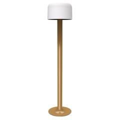 Michel Mortier 10527 Metal and Glass Floor Lamp for Disderot in Chamois