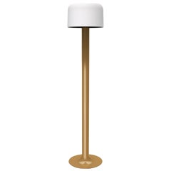 Michel Mortier 10527 Metal and Glass Floor Lamp for Disderot in Chamois