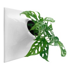 Modern White Wall Planter, Plant Wall Sculpture, Living Decor, Node 15" X Large