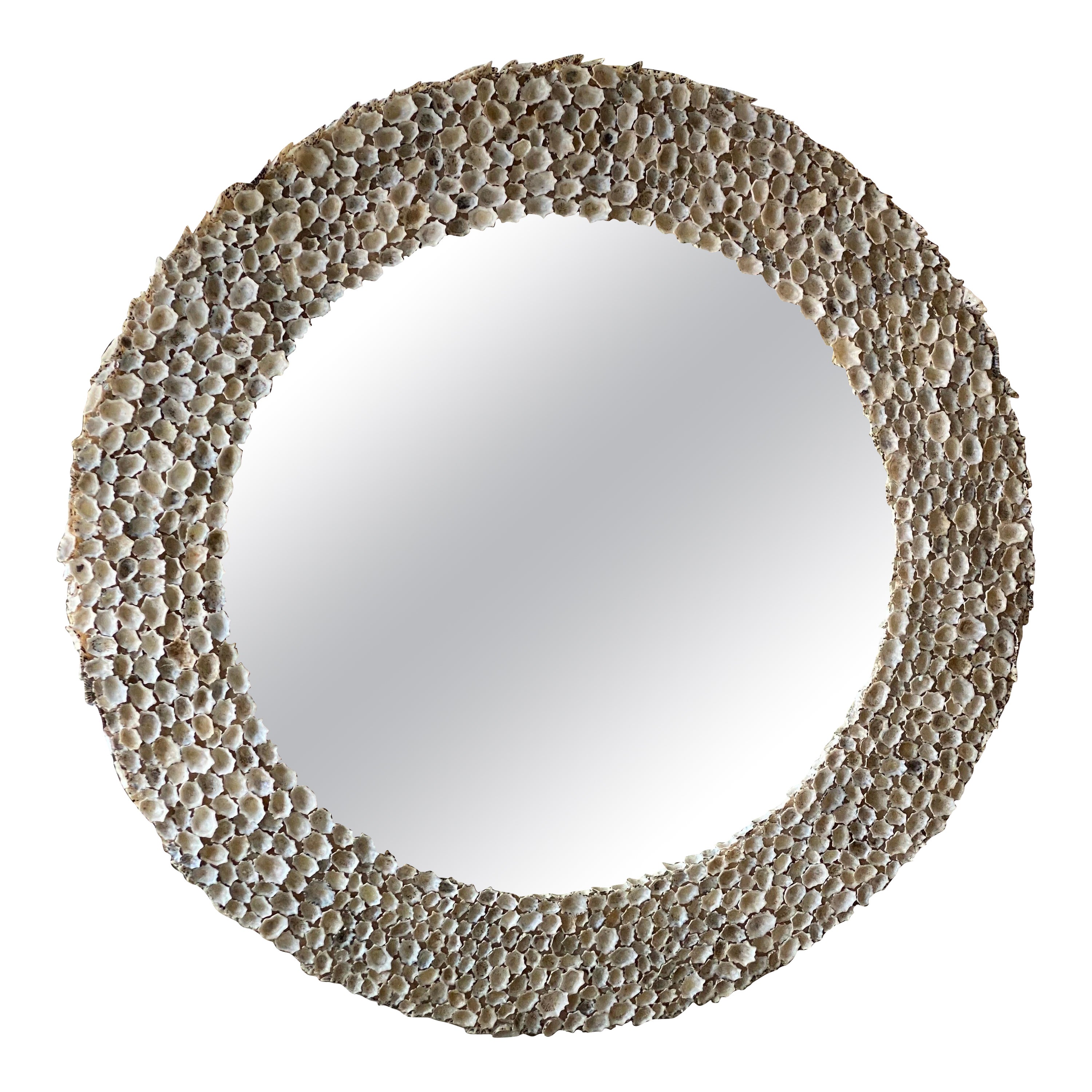 Vintage Seashell Shell Encrusted Round Circular Palm Beach Wall Mirror For Sale