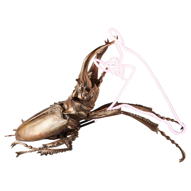 George Sellers, „Coleoptera“ mit neonfarbenem Käfer, Bronze, Neon-Tischlampe