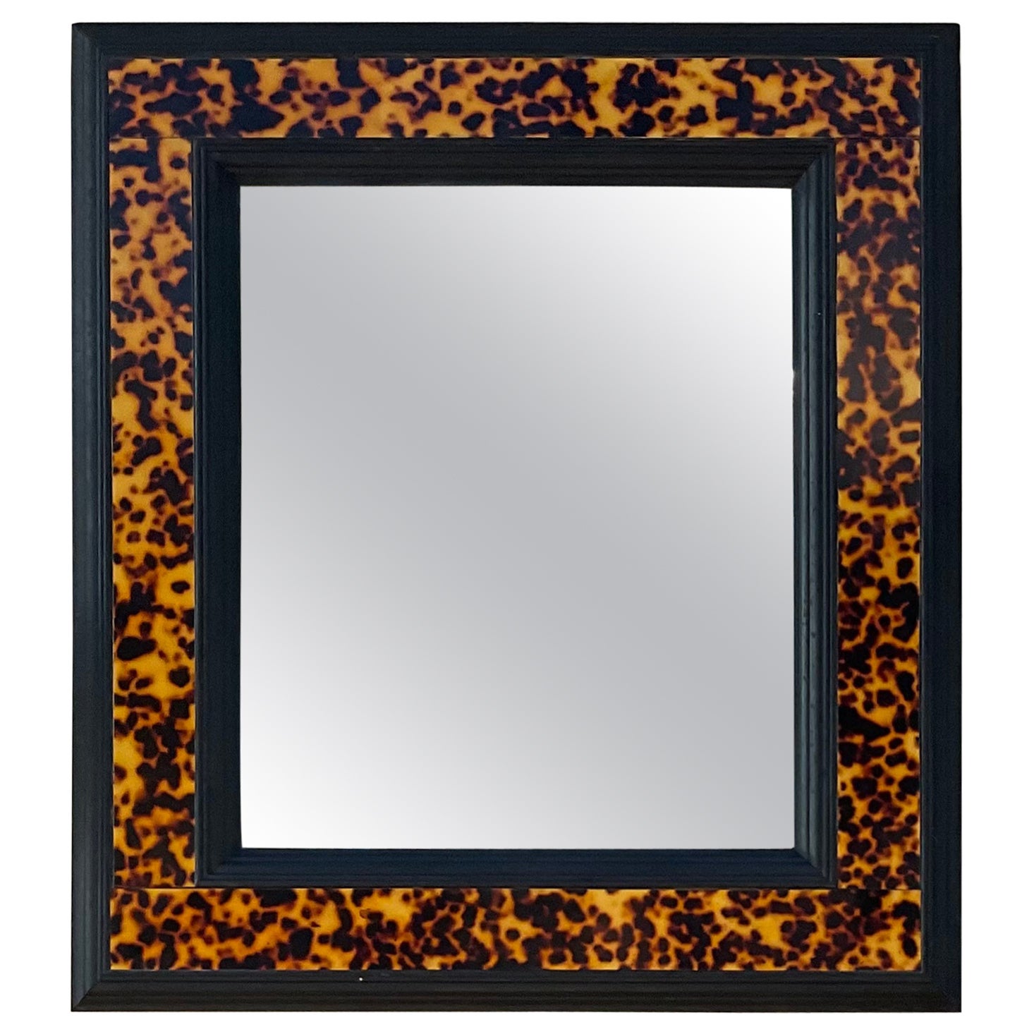 Turtle Shell Lucite Faux Framed Turtle Mirror For Sale